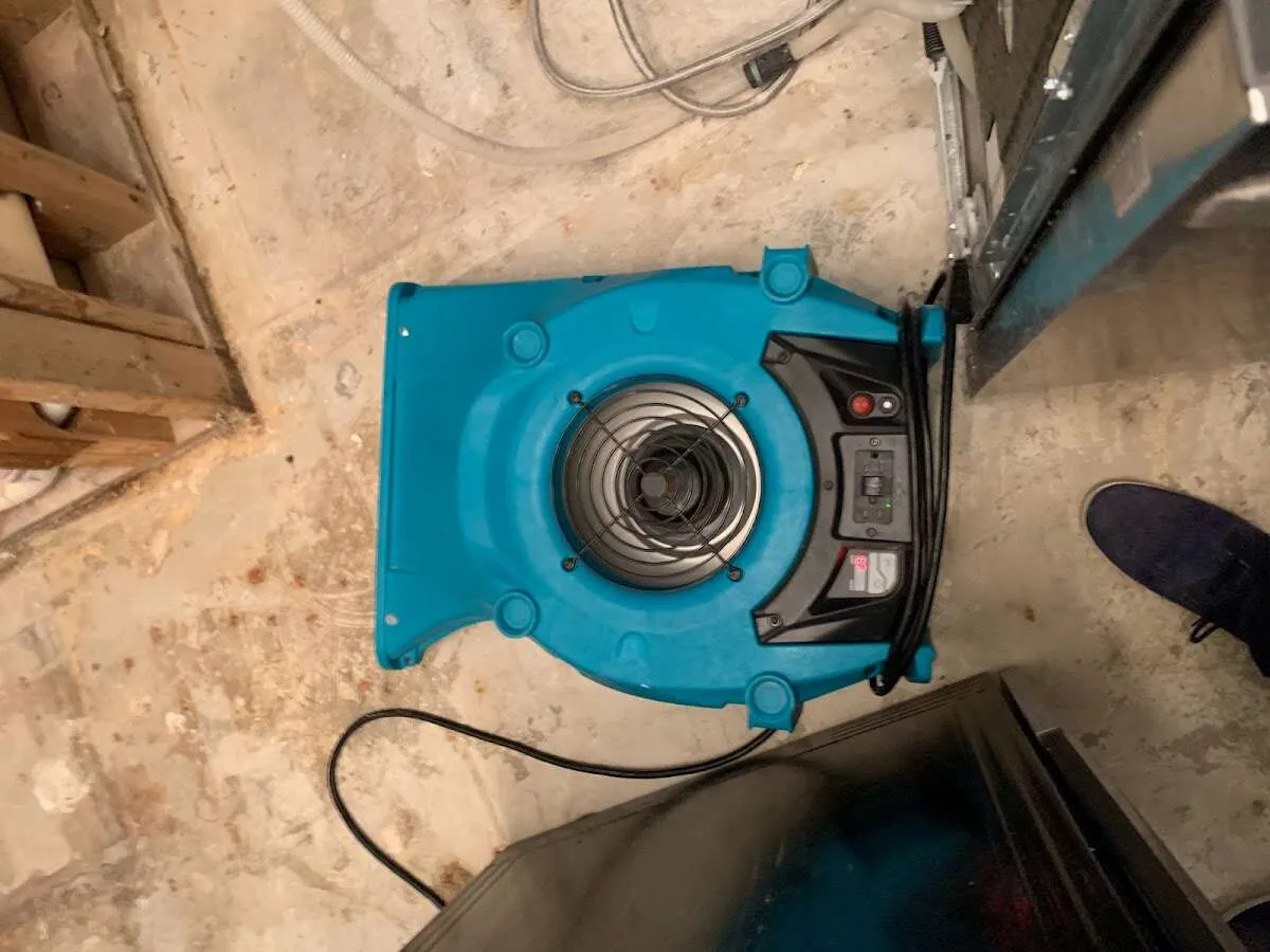 Air mover drying equipment for Mold Remediation & Removal in Perth Amboy