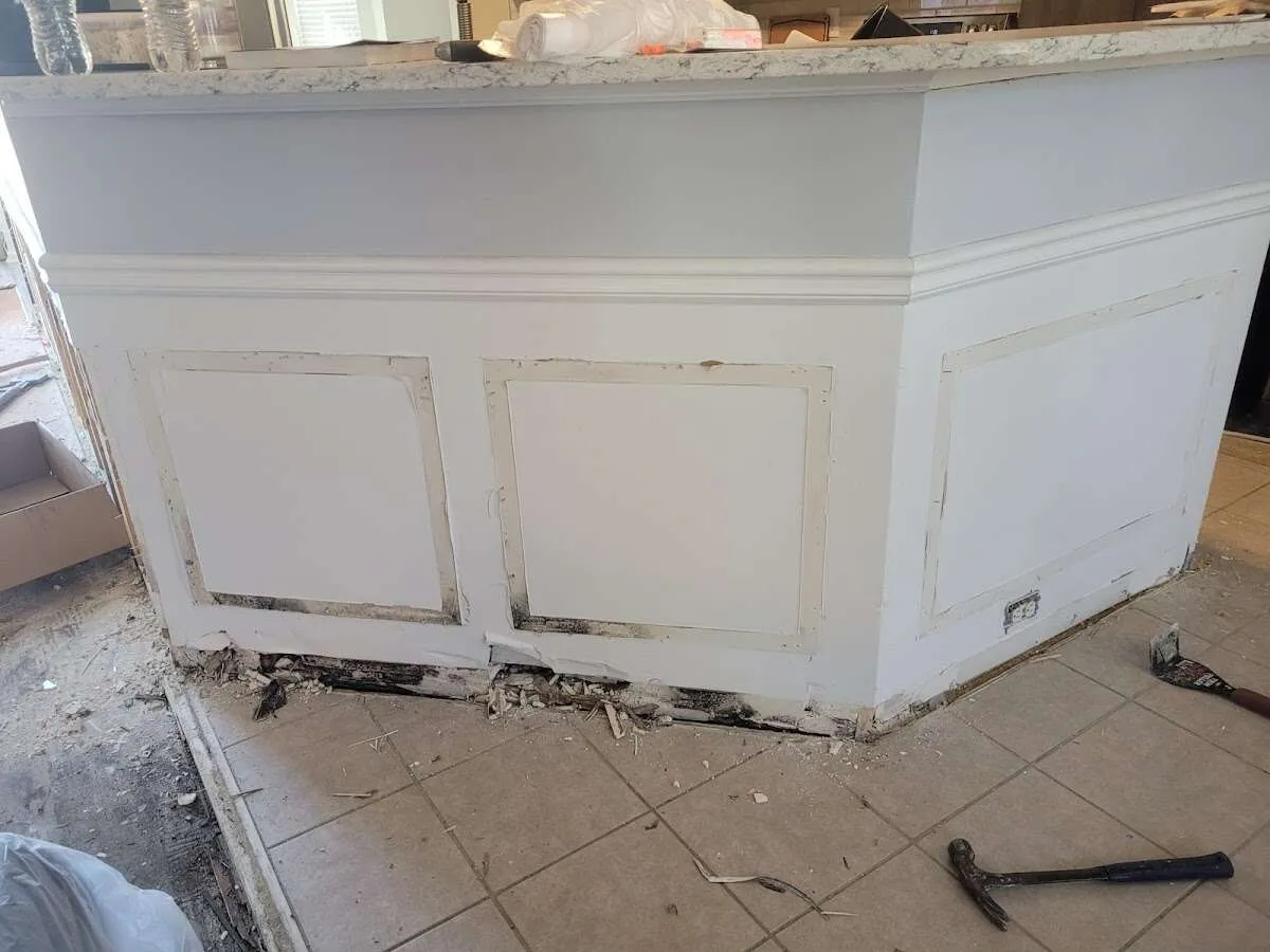 Water damage and mold on kitchen during Mold Inspection & Testing in Perth Amboy